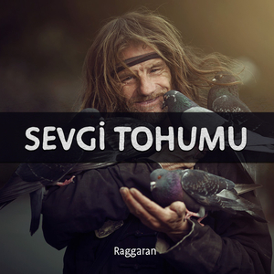 Sevgi Tohumu