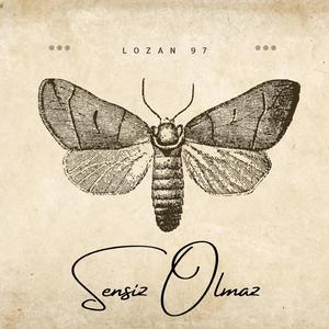 Sensiz Olmaz