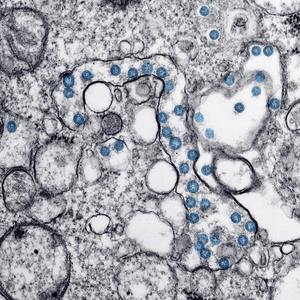 【Free Beat】'Encroach'