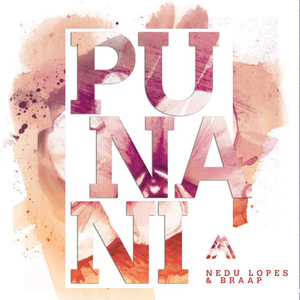 Punani