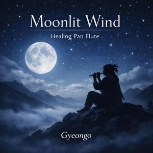 Moonlit Wind (Healing Pan Flute)