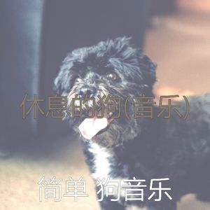 天堂般(宠物午睡)