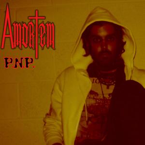 P.N.P.