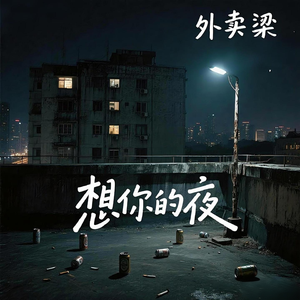 想你的夜说唱版