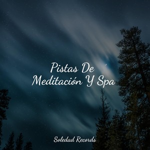 El Bebé Ahora Duerme