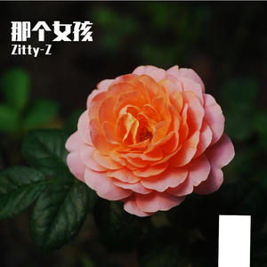 那个女孩（Prod.Gr33nartBeats）