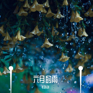 六月的雨