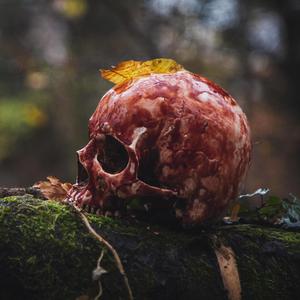 The Roots of: Old Wars