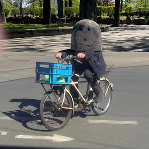 胡同里的二八车