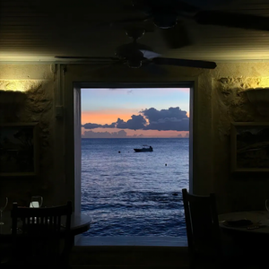 阳光下的星星(纯享版)