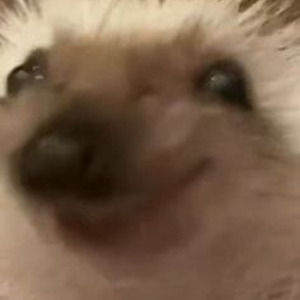 Made In China (slowed)