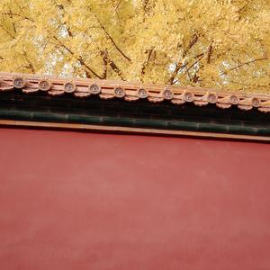 红墙（街头招式beat6）