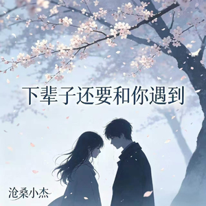 下辈子还要和你遇到