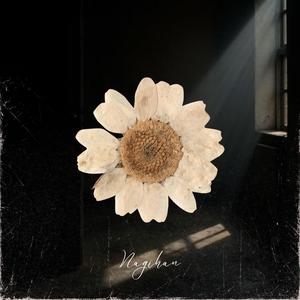 Bu Benim Karanlığım