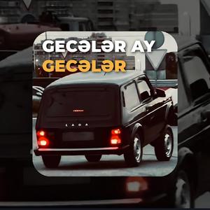 Boynuna Sar Gecələr