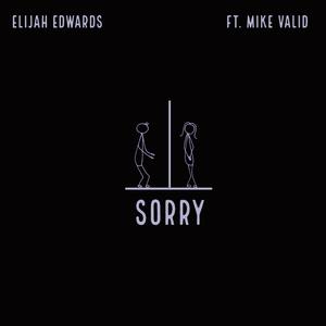 sorry (feat. Mike Valid) (Remix)