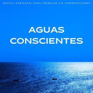 Flujo Productivo Mindfulness