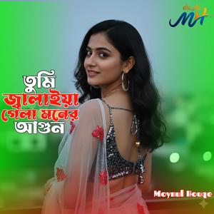 তুমি জ্বালাইয়া গেলা মনের আগুন