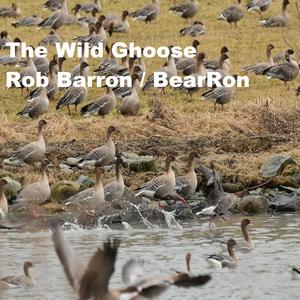 The Wild Ghoose