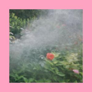 我们都是这座城市里流浪的人