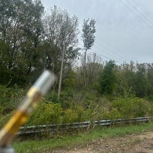 numb (feat. kaisexistence?)