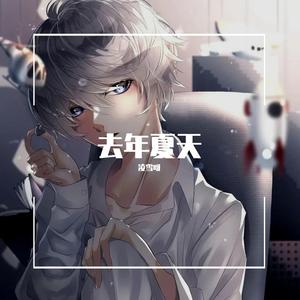 去年夏天