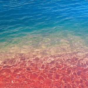 我是真的爱上你