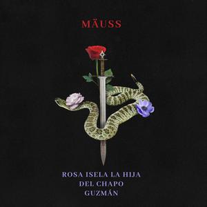 Rosa Isela La Hija Del Chapo Guzmán