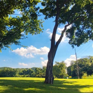 我知道你从未爱过我