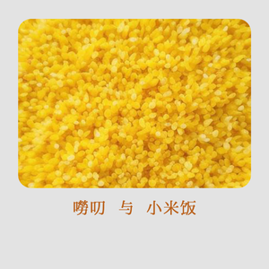 唠叨与小米饭 / 安阳话