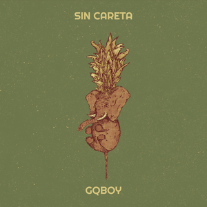 Sin Careta