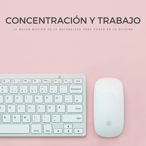 Atmósfera De La Oficina