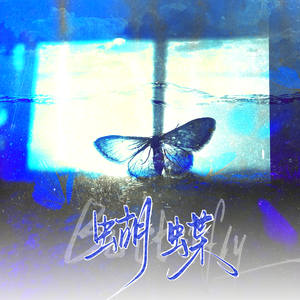 蝴蝶/Butterfly