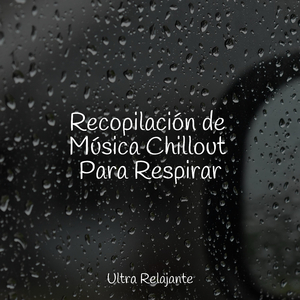 Renacimiento Del Océano