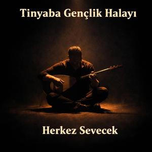 Tinyaba Gençlik Halayı