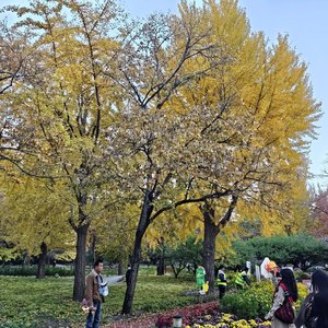 生活就是这么个理.wav