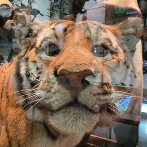 Wish You Weren't Right