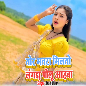 Tor Bhatra Milto Langda Pilu Aahva