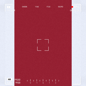 标本（specimen）