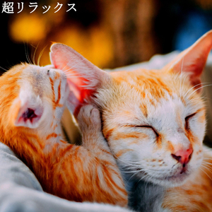 Groovy Music for Background Music