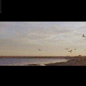 ごめんね良い人