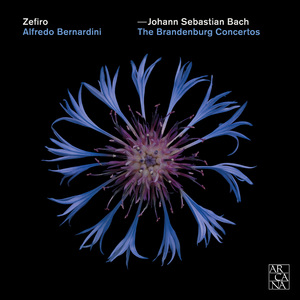 Concerto No. 6 in B-Flat Major, BWV 1051: III. Allegro