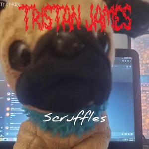 Scruffles (feat. cr4ckr)
