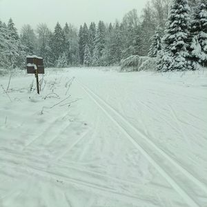 Ехали мы ехали