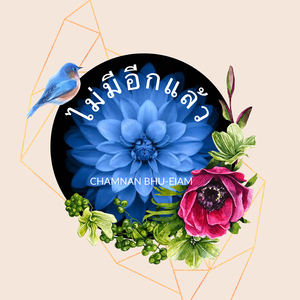 ไม่มีอีกแล้ว