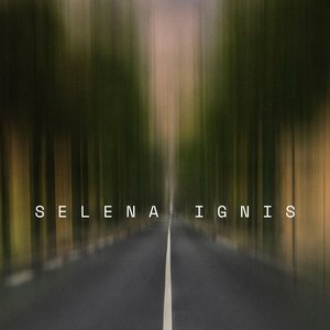 Movin' with the Roots