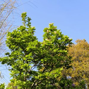 岁月迷梦夜未央