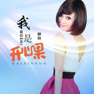 我是开心果 (DJ版)