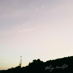 ฉันเจ็บ (feat. Xmelit1)