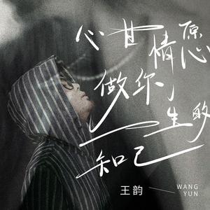 心甘情愿做你一生的知己 (DJ九零版)